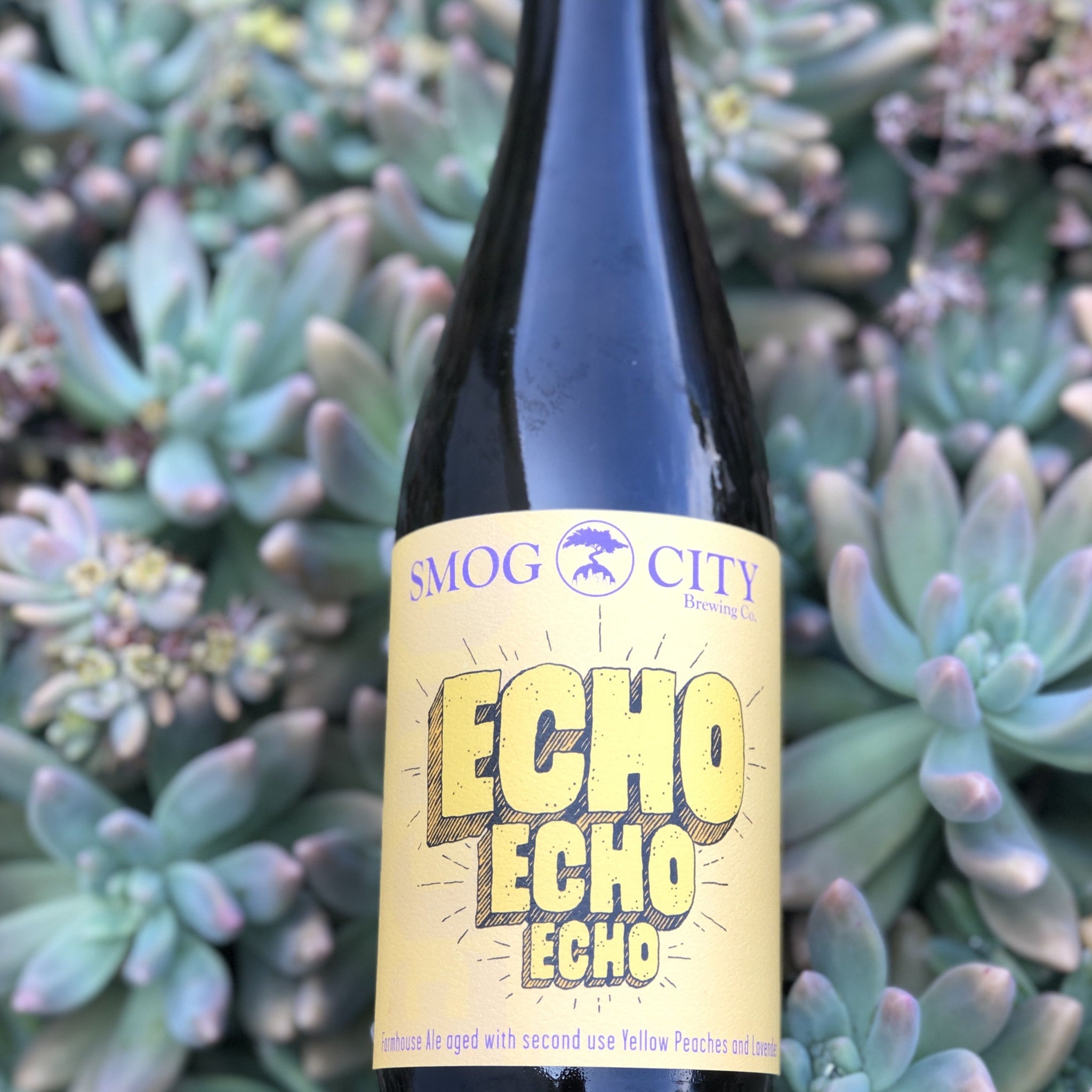 Echo Echo Echo